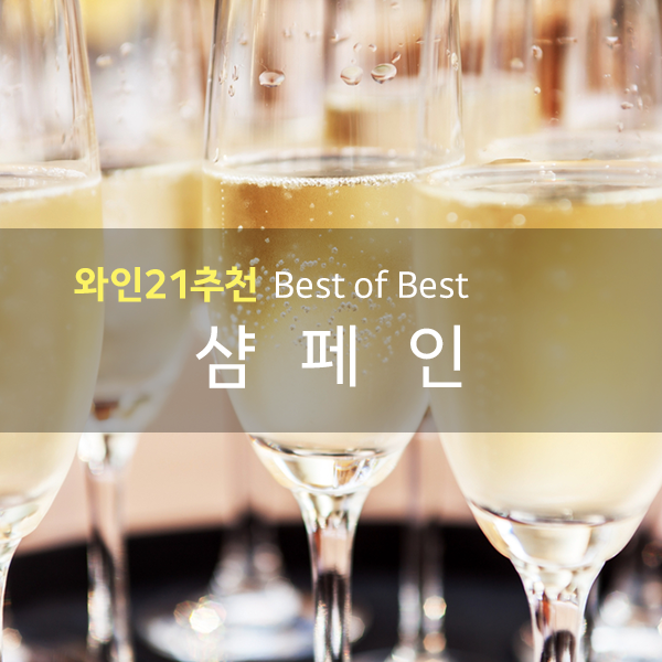 샴페인 추천와인