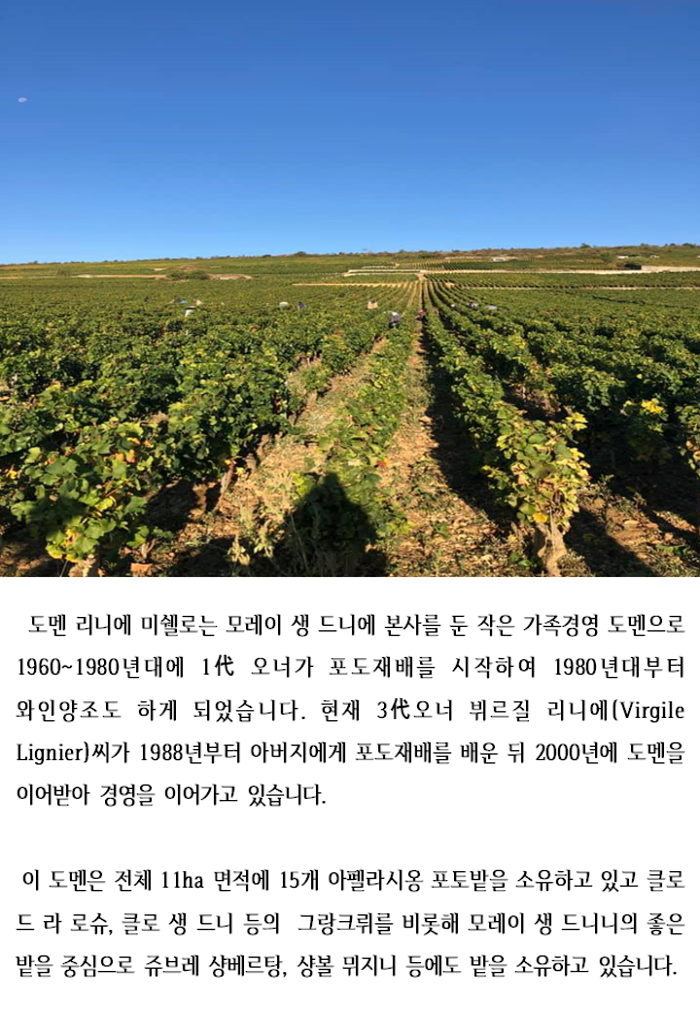에노테카압구정점 이미지
