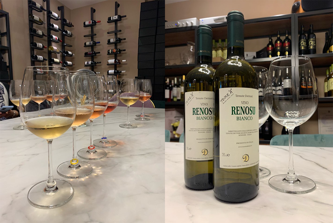 프리미엄 이탈리안 와인 전문점, 칸티나(Cantina) - 와인21닷컴